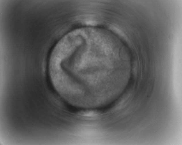 X0000088140639200706041338