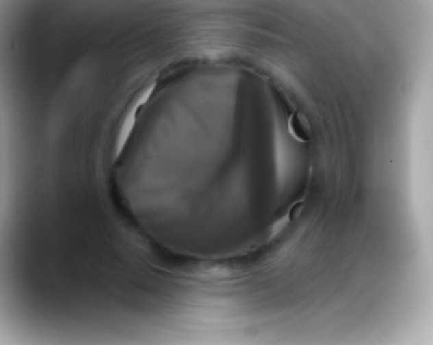 X0000088140640200706041338