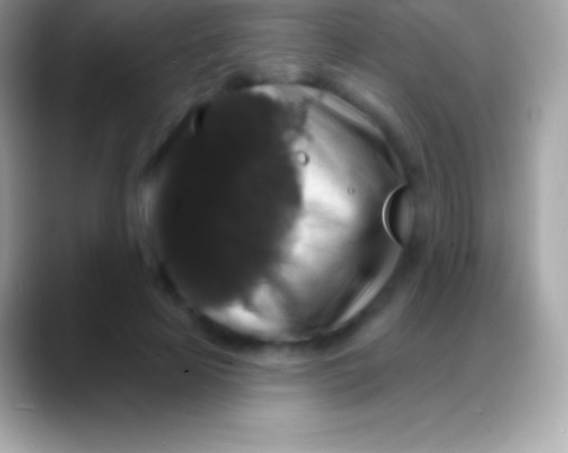 X0000088140641200706041338