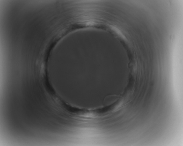 X0000088140643200706041338