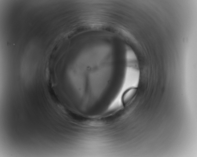 X0000088140644200706041338