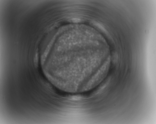 X0000088140645200706041338