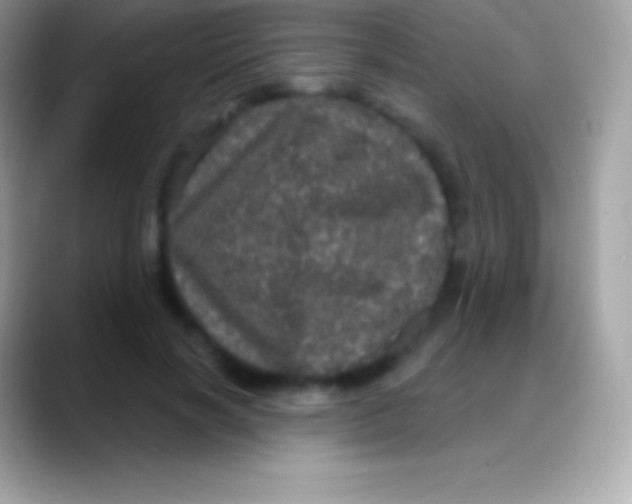 X0000088140646200706041338