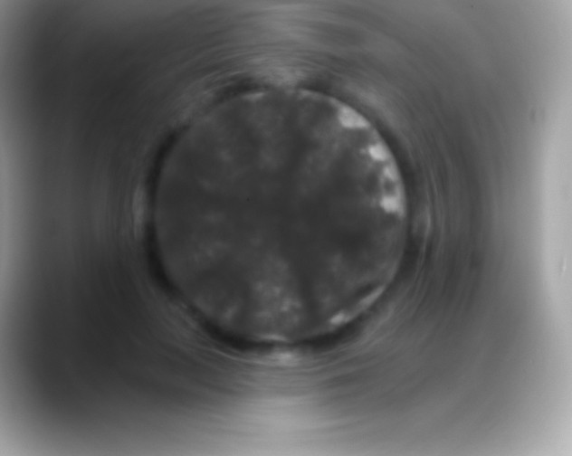 X0000088140647200706041338