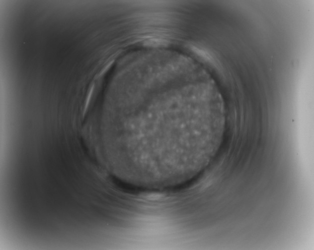 X0000088140649200706041338