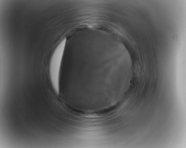 X0000088140650200706041338