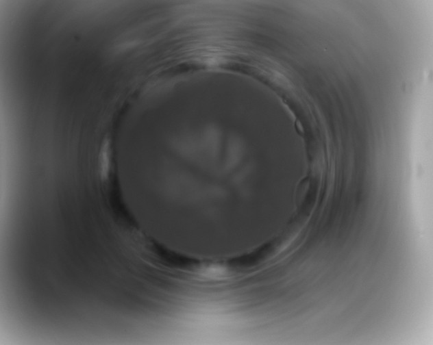 X0000088140651200706041338