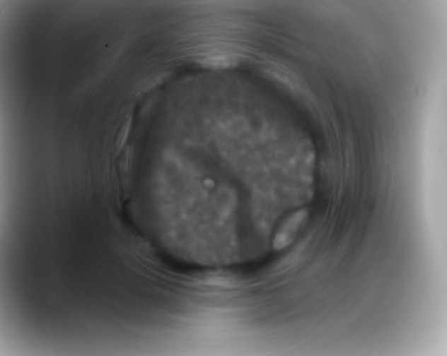 X0000088140652200706041338