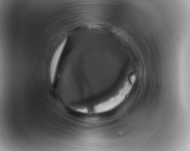 X0000088140653200706041338