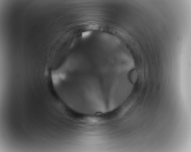 X0000088140654200706041338