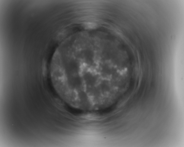 X0000088140655200706041338