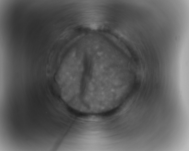 X0000088140656200706041338