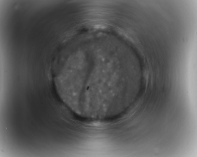 X0000088140657200706041338