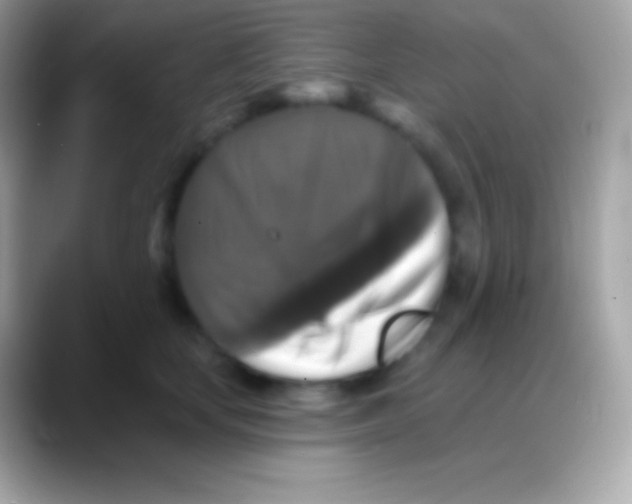 X0000088140659200706041338