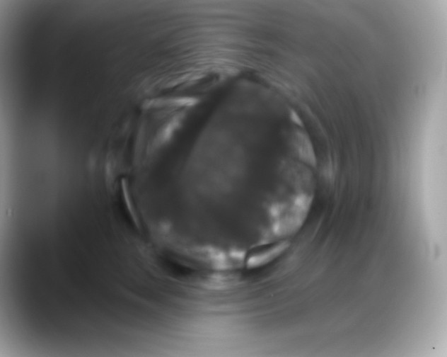 X0000088140663200706041338