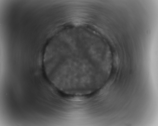 X0000088140664200706041338