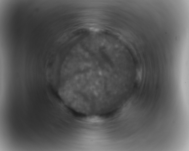 X0000088140666200706041338