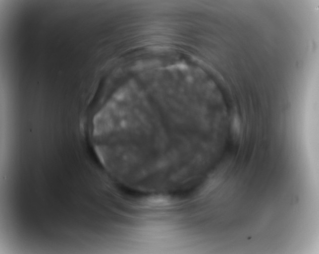 X0000088140668200706041338