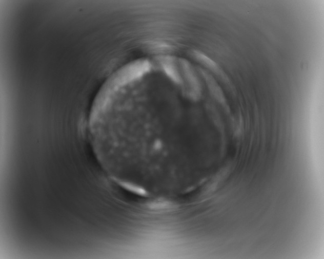 X0000088140669200706041338