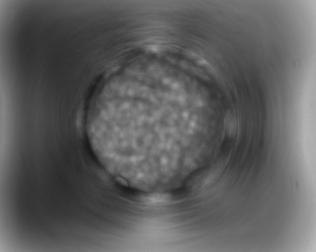 X0000088140670200706041338