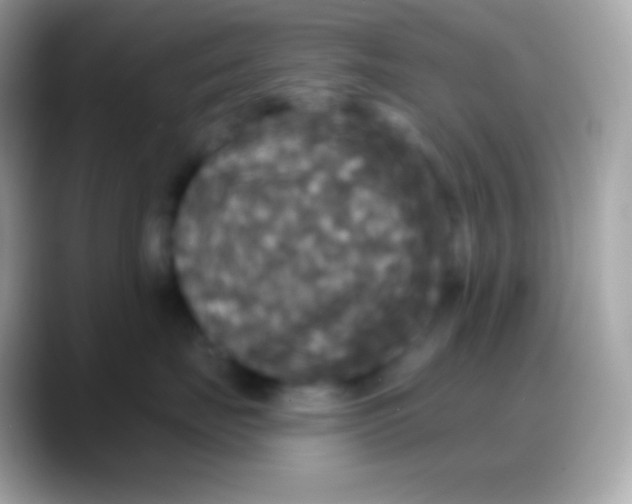 X0000088140671200706041338