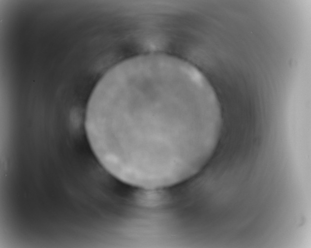 X0000088140672200706041338