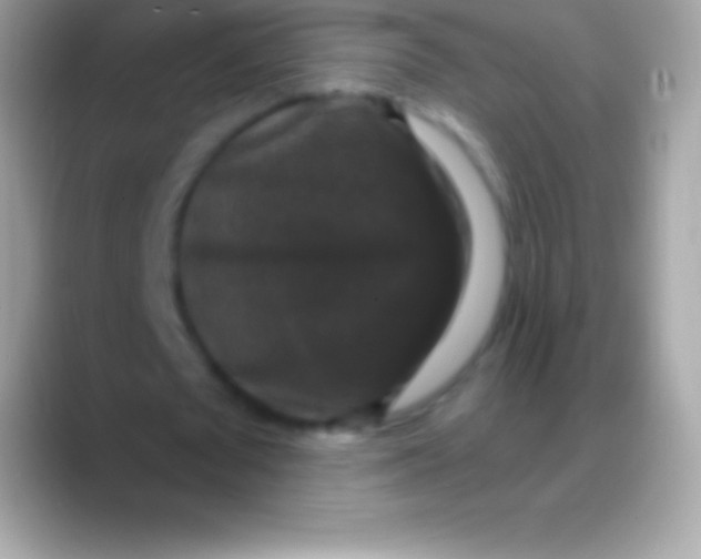 X0000088140673200706041337