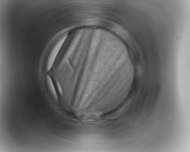 X0000088140676200706041337