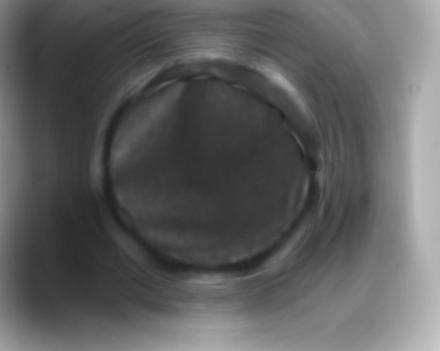 X0000088140677200706041337