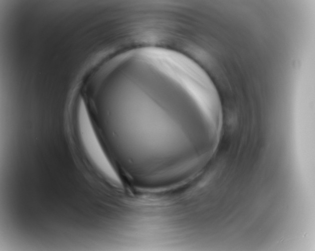 X0000088140678200706041337