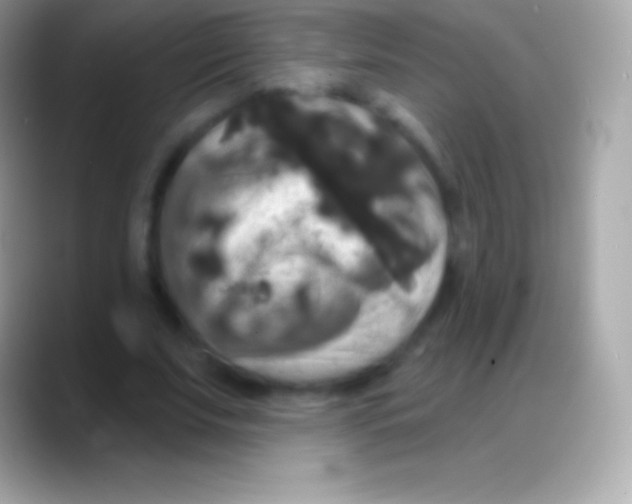 X0000088140679200706041337