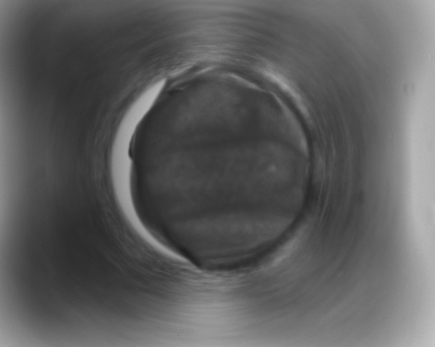 X0000088140681200706041337