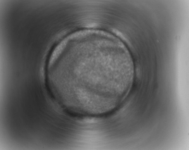 X0000088140682200706041337