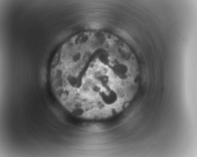 X0000088140683200706041337