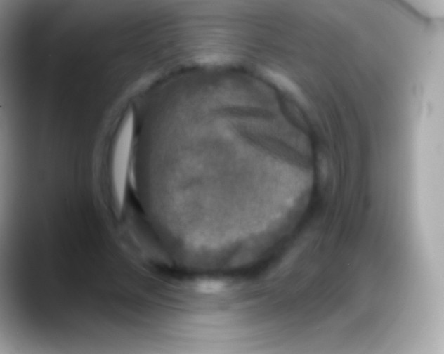 X0000088140684200706041337