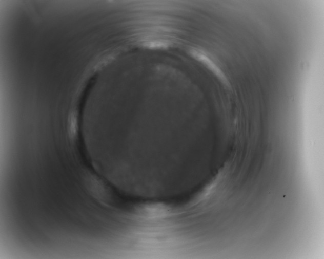 X0000088140685200706041337