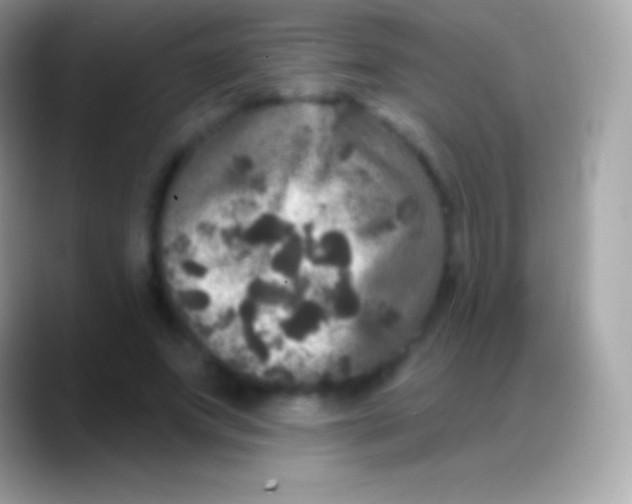 X0000088140687200706041337