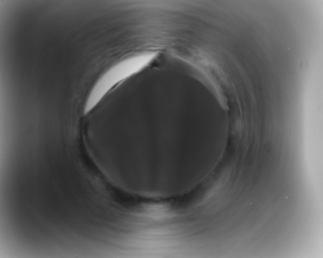 X0000088140689200706041337