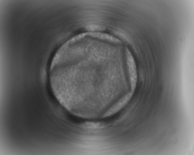 X0000088140690200706041337