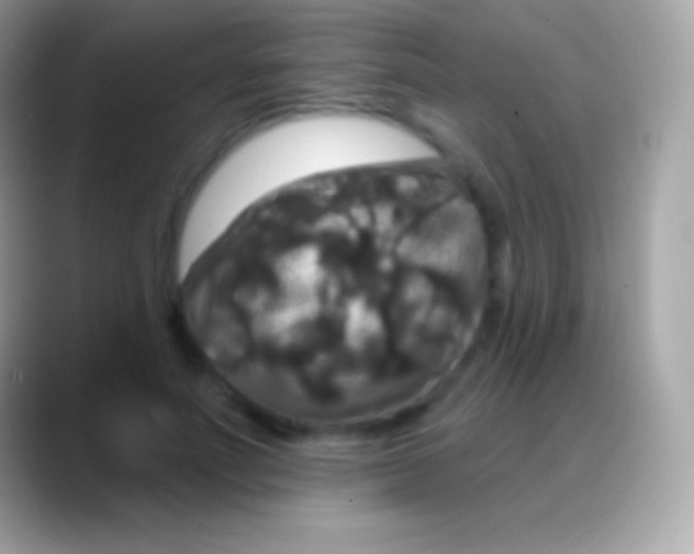 X0000088140691200706041337