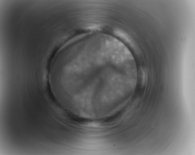 X0000088140692200706041337