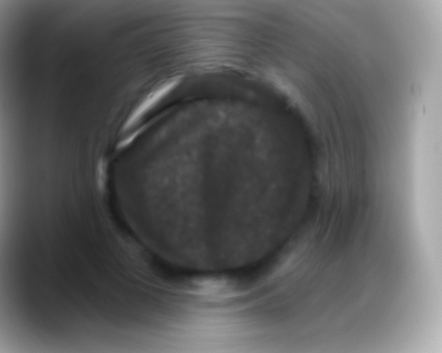 X0000088140693200706041337