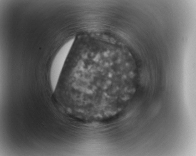 X0000088140695200706041337