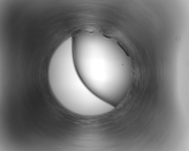 X0000088140696200706041337