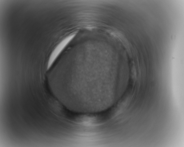 X0000088140697200706041337