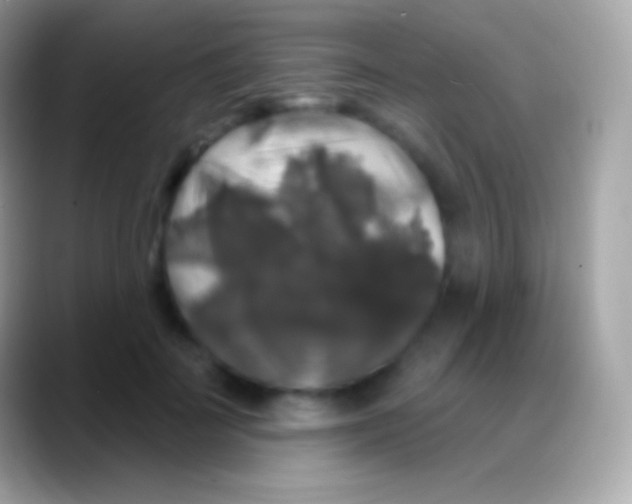 X0000088140699200706041337