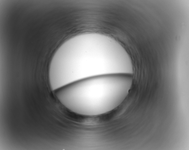 X0000088140700200706041337