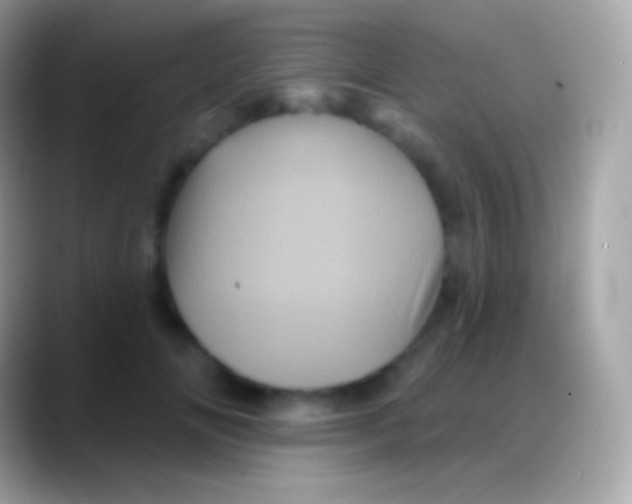 X0000088140702200706041337