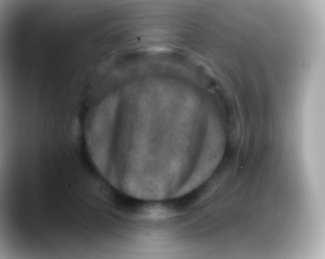 X0000088140704200706041337