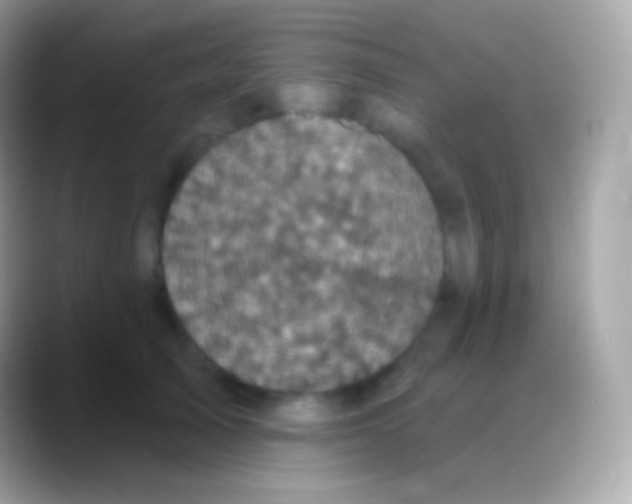 X0000088140705200706041337